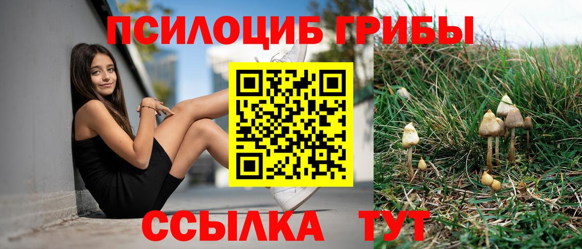 Усть-Джегута  купить   Вход с VPN  Галлюциногенные грибы Cubensis 