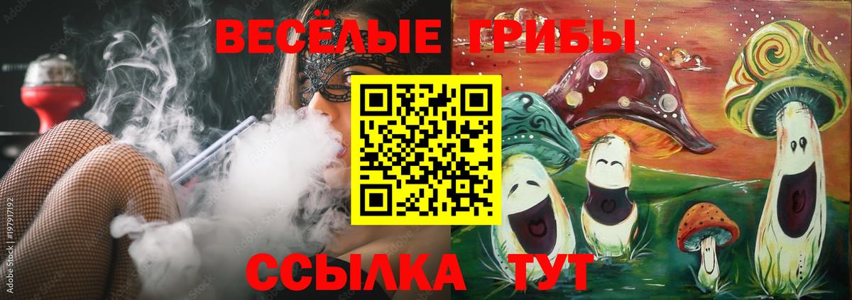 Псилоцибиновые грибы Psilocybe Усть-Джегута